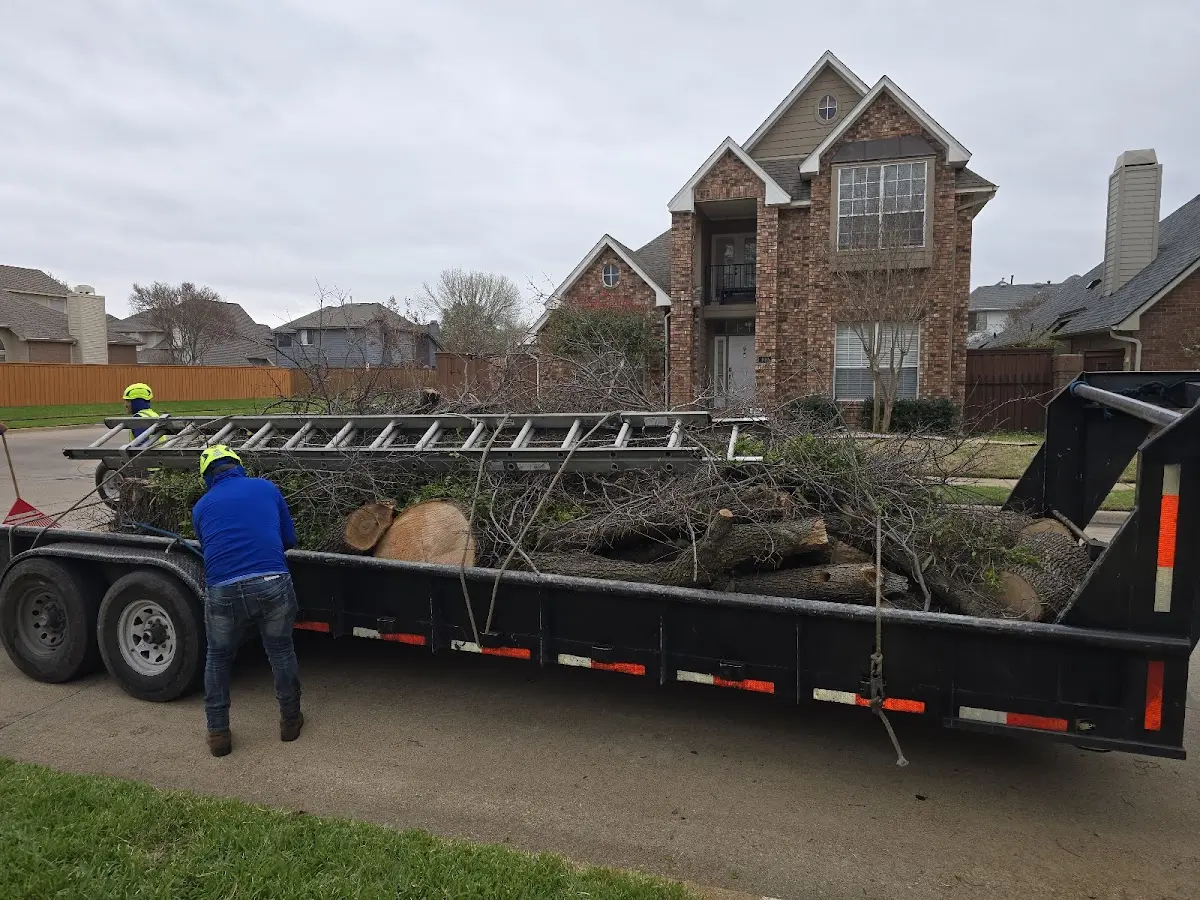 Expert Tree Fertilization with proper safety equipment in North Stonington